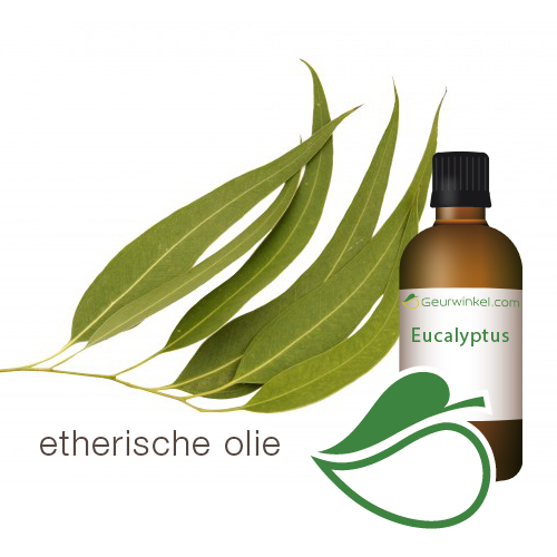 handdesinfecterende eucalyptus spray