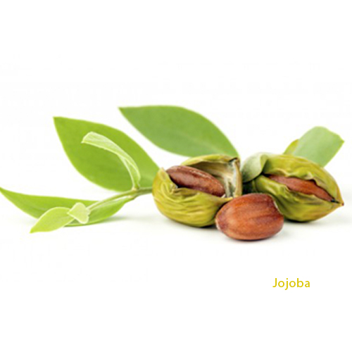 Jojoba olie