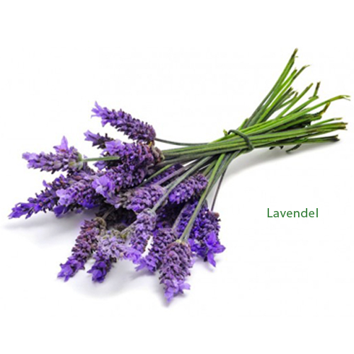 Lavendel etherische olie