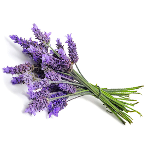 Lavendel geurolie