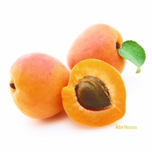 images/productimages/small/abrikoos_1.jpg