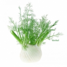 Venkel etherische olie