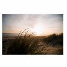 images/productimages/small/zeebries1.jpg
