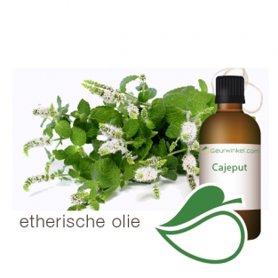 cajeput etherische olie