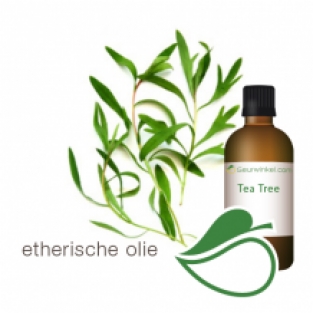 handdesinfecterende eucalyptus spray